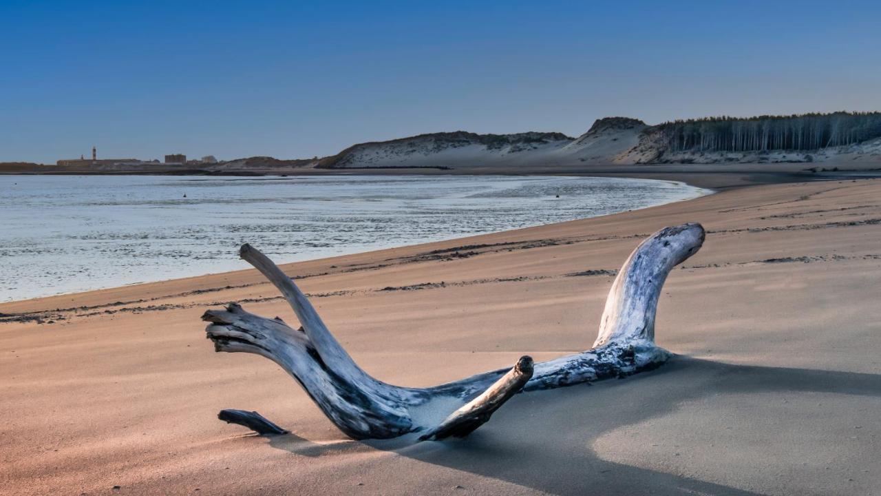 Studio "Les Pieds Dans L'Eau" - 50M Front De Mer Berck ภายนอก รูปภาพ
